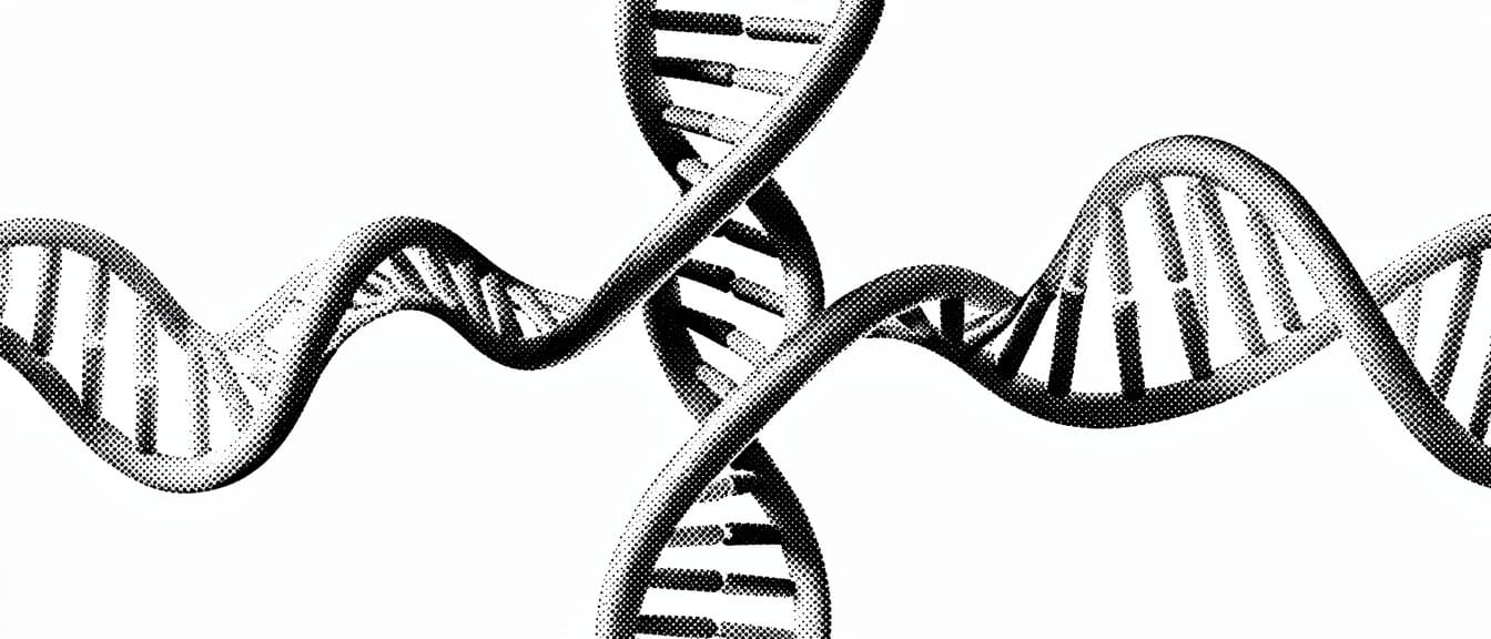 Knowledge network visualization